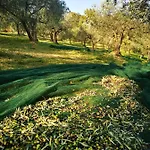 Monte Oliveto * بالاتزو